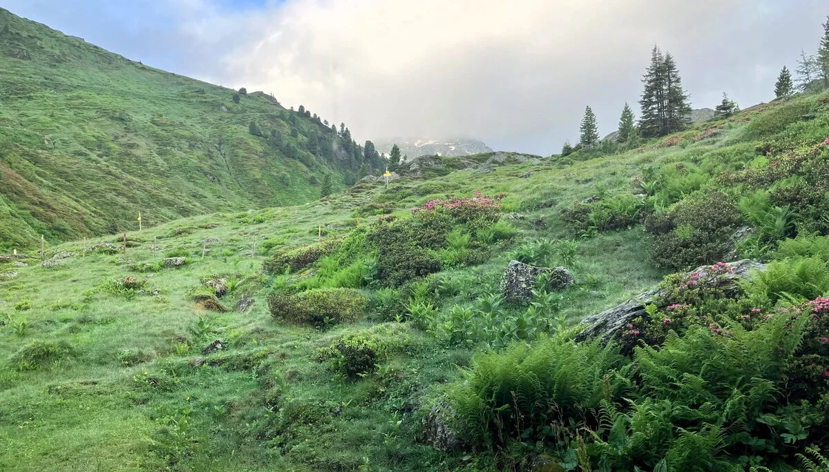 Bamberger Hütte | © Schneider Susanne