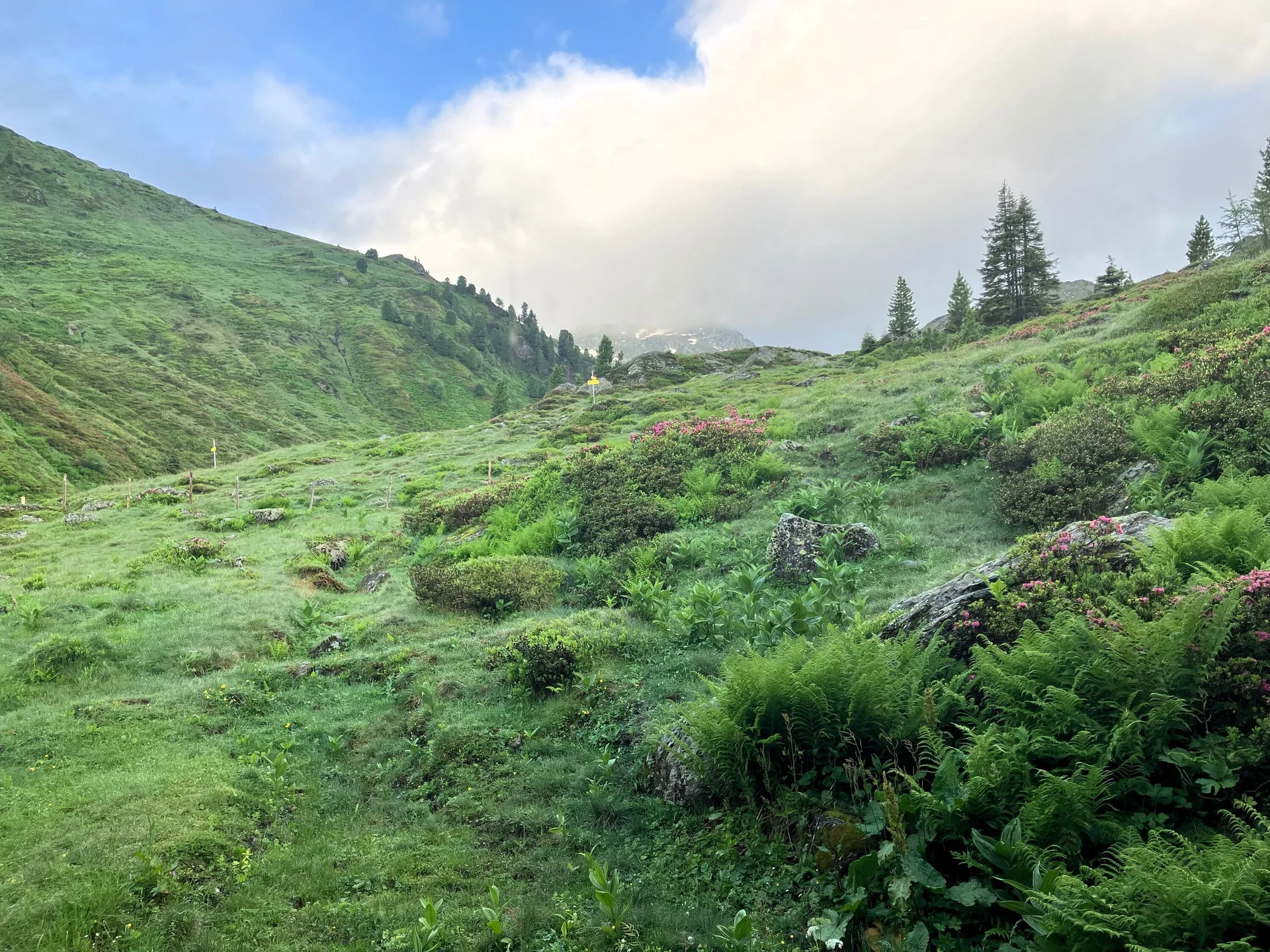Bamberger Hütte | © Schneider Susanne