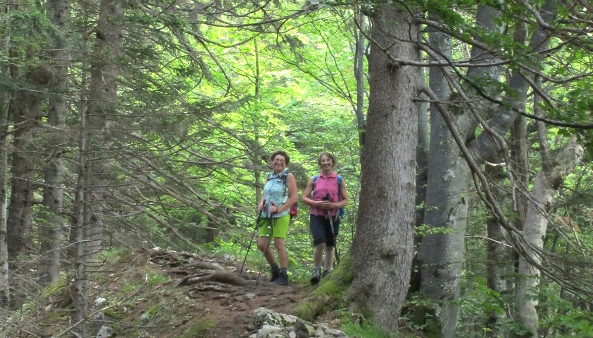 Auf einsamen Wegen auf die Hochplatte | © Hibler Toni