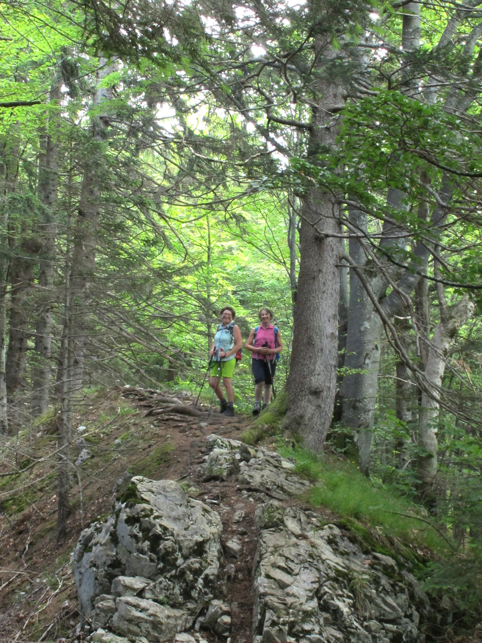 Auf einsamen Wegen auf die Hochplatte | © Hibler Toni