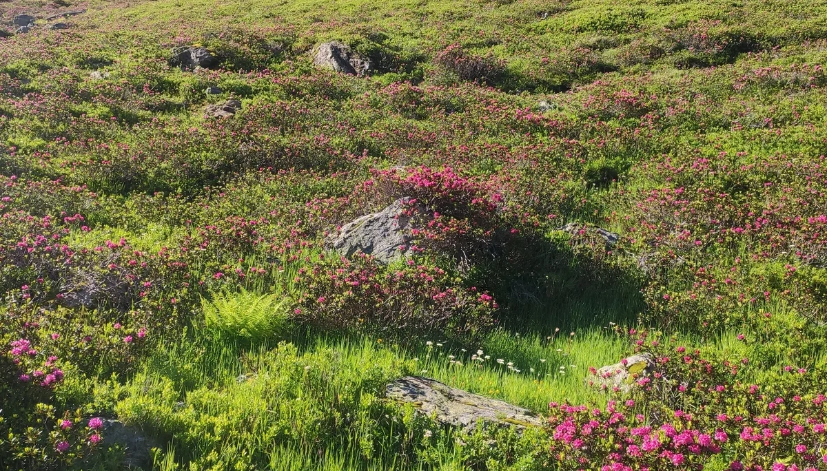 Verwallrunde | © Hartinger Manfred