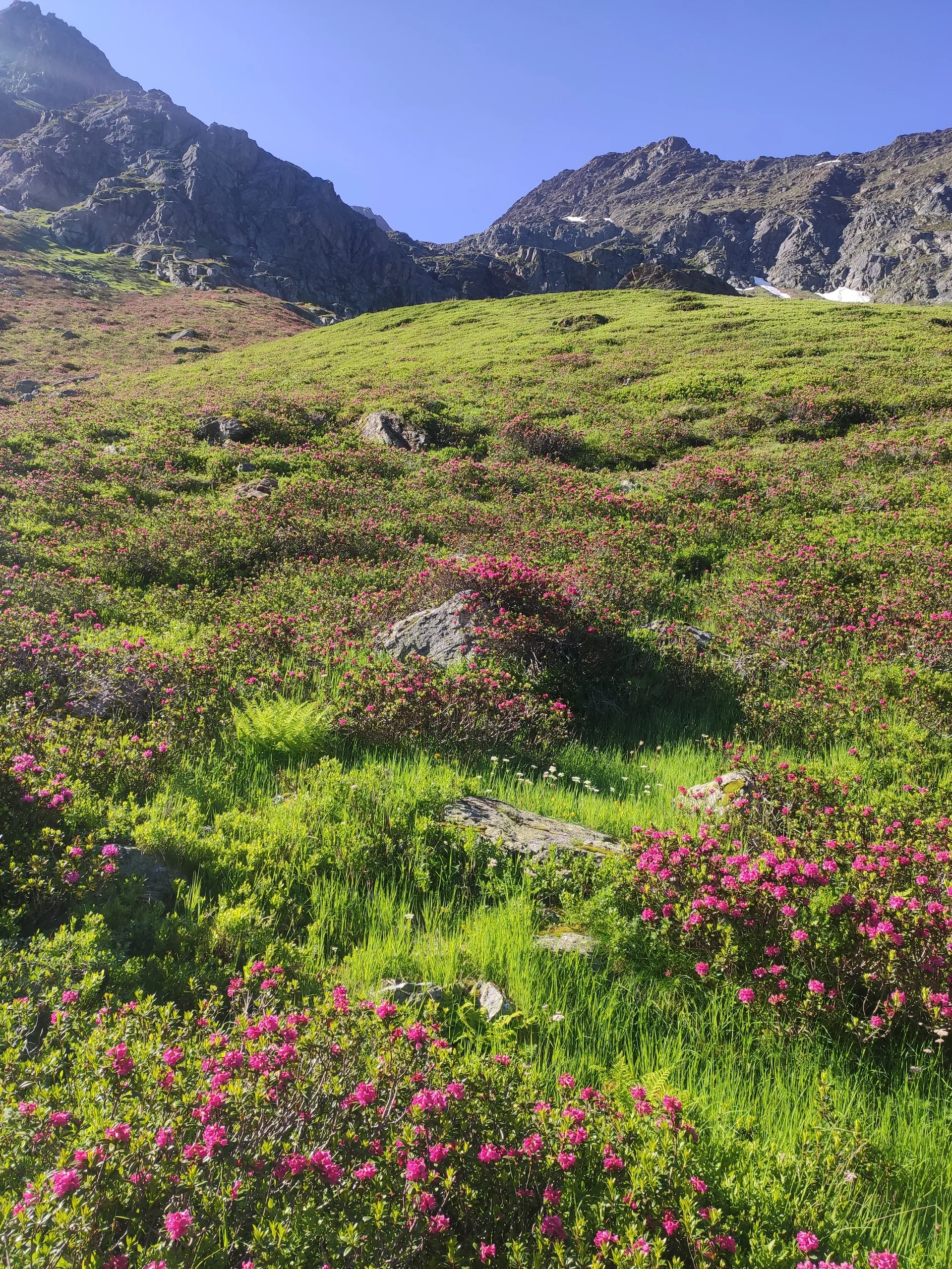 Verwallrunde | © Hartinger Manfred