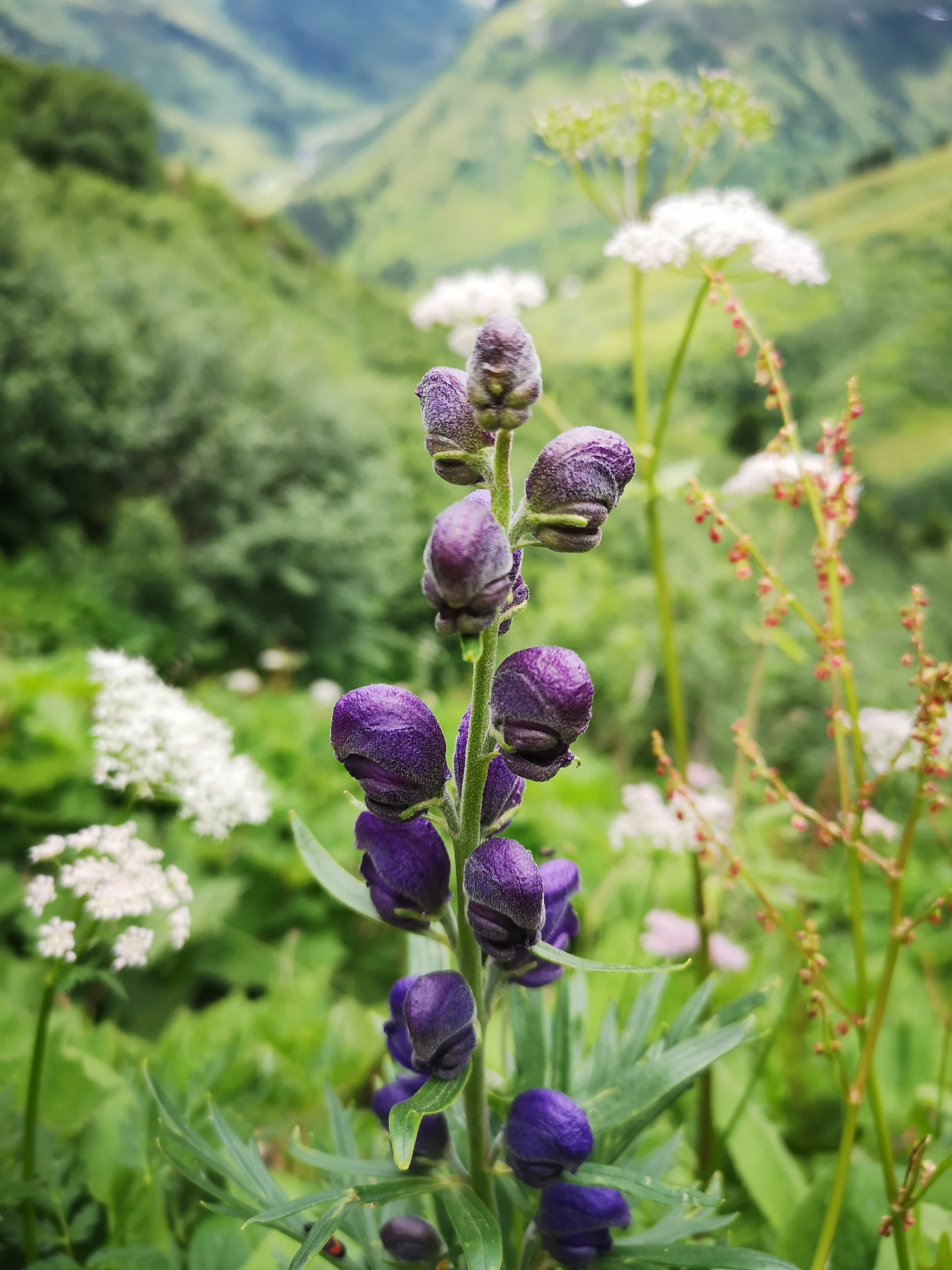 Verwallrunde | © Hartinger Manfred