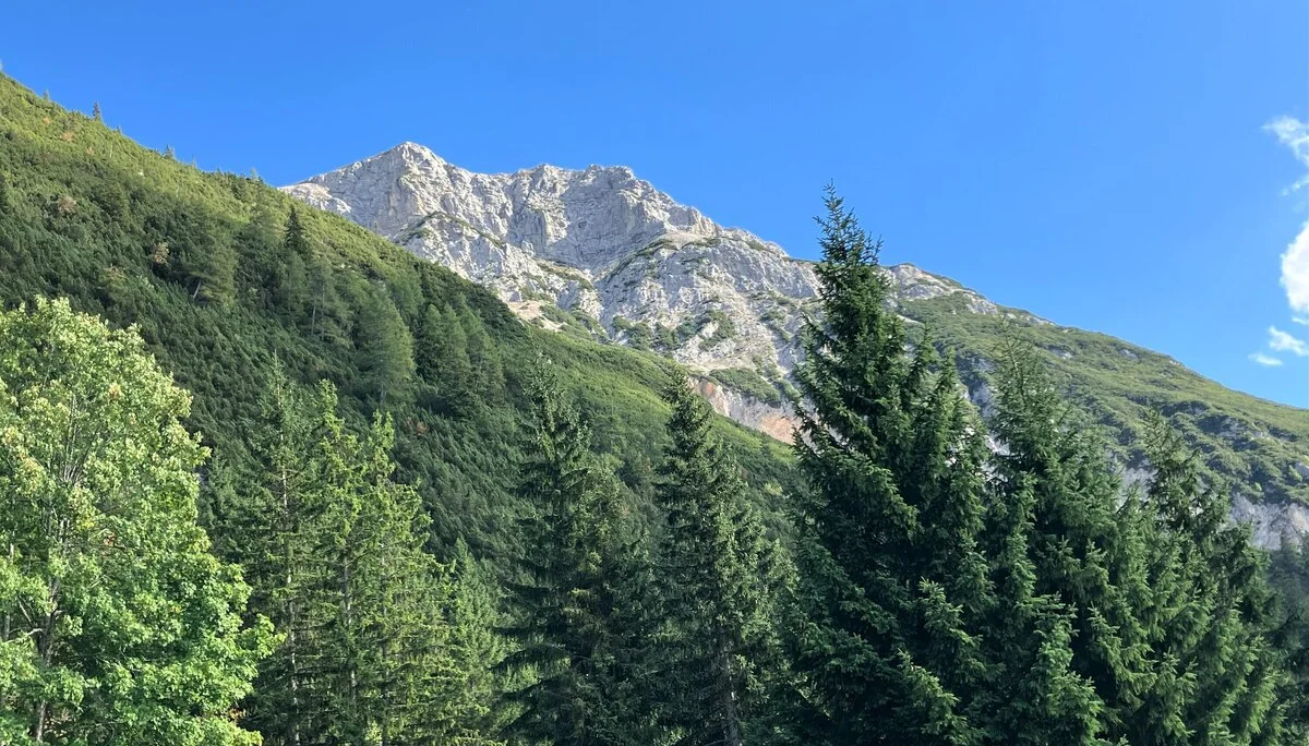 Ladys im Karwendelgebirge | © Schneider Susanne