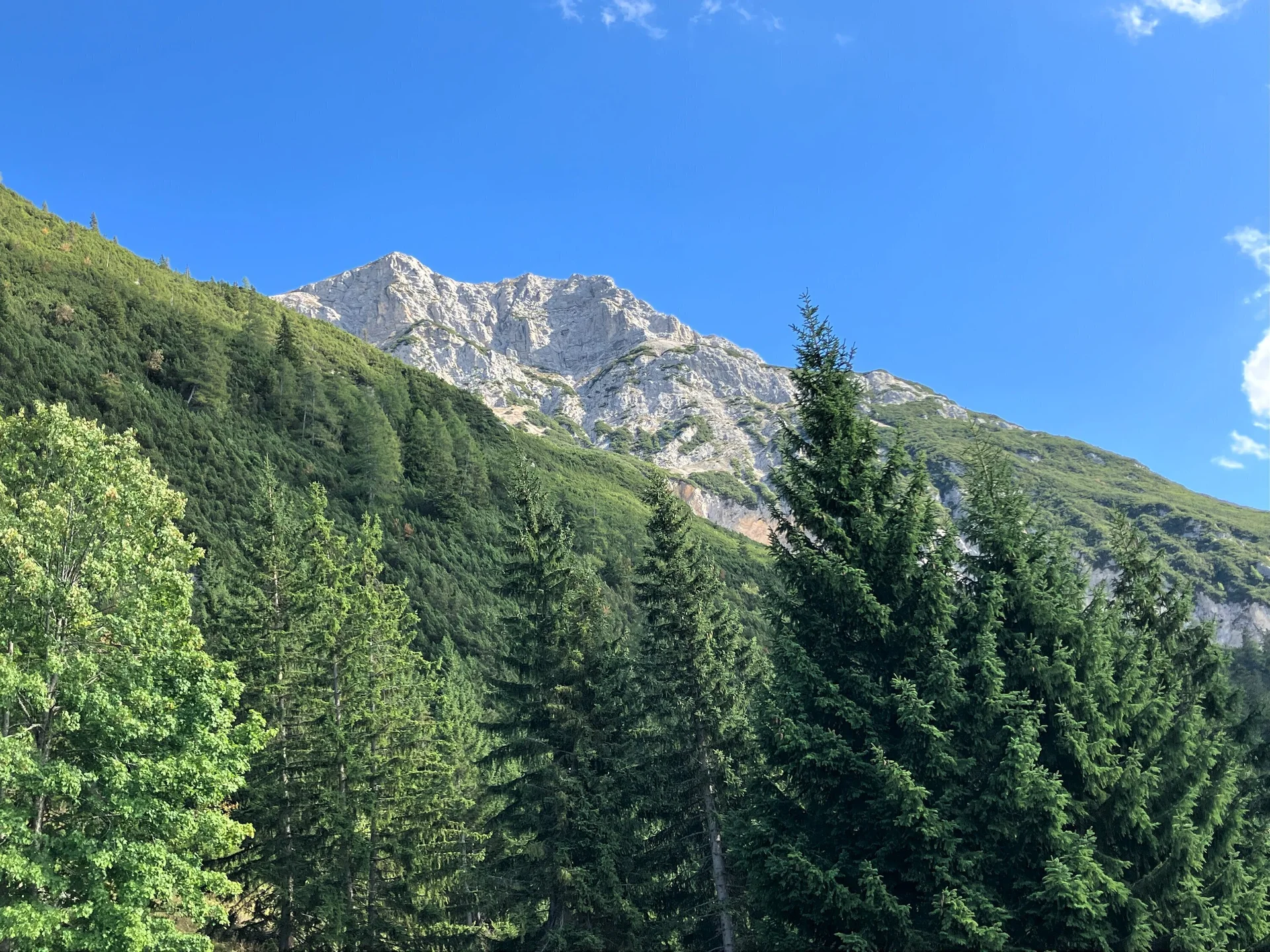 Ladys im Karwendelgebirge | © Schneider Susanne