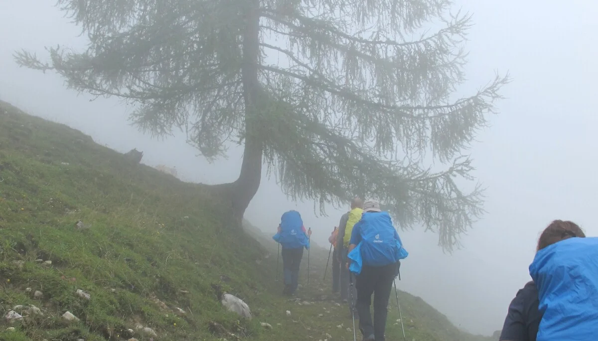 Gemütliche DAV-Tour auf das Fellhorn im Chiemgau | © Hibler Toni