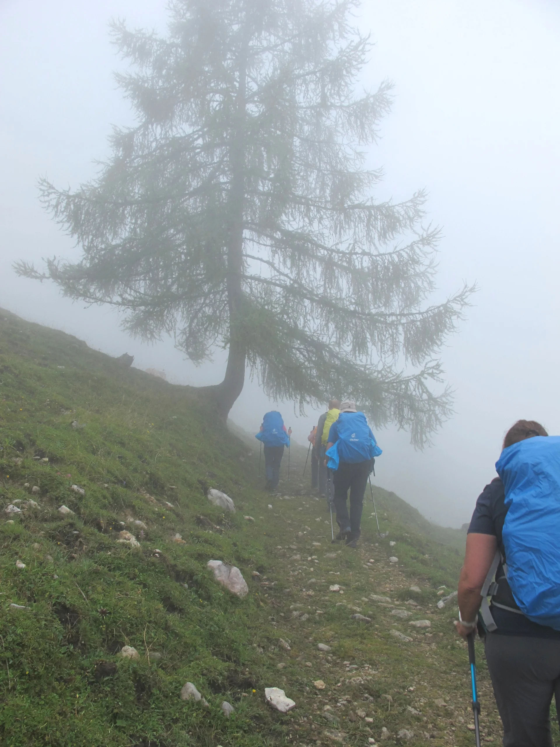 Gemütliche DAV-Tour auf das Fellhorn im Chiemgau | © Hibler Toni