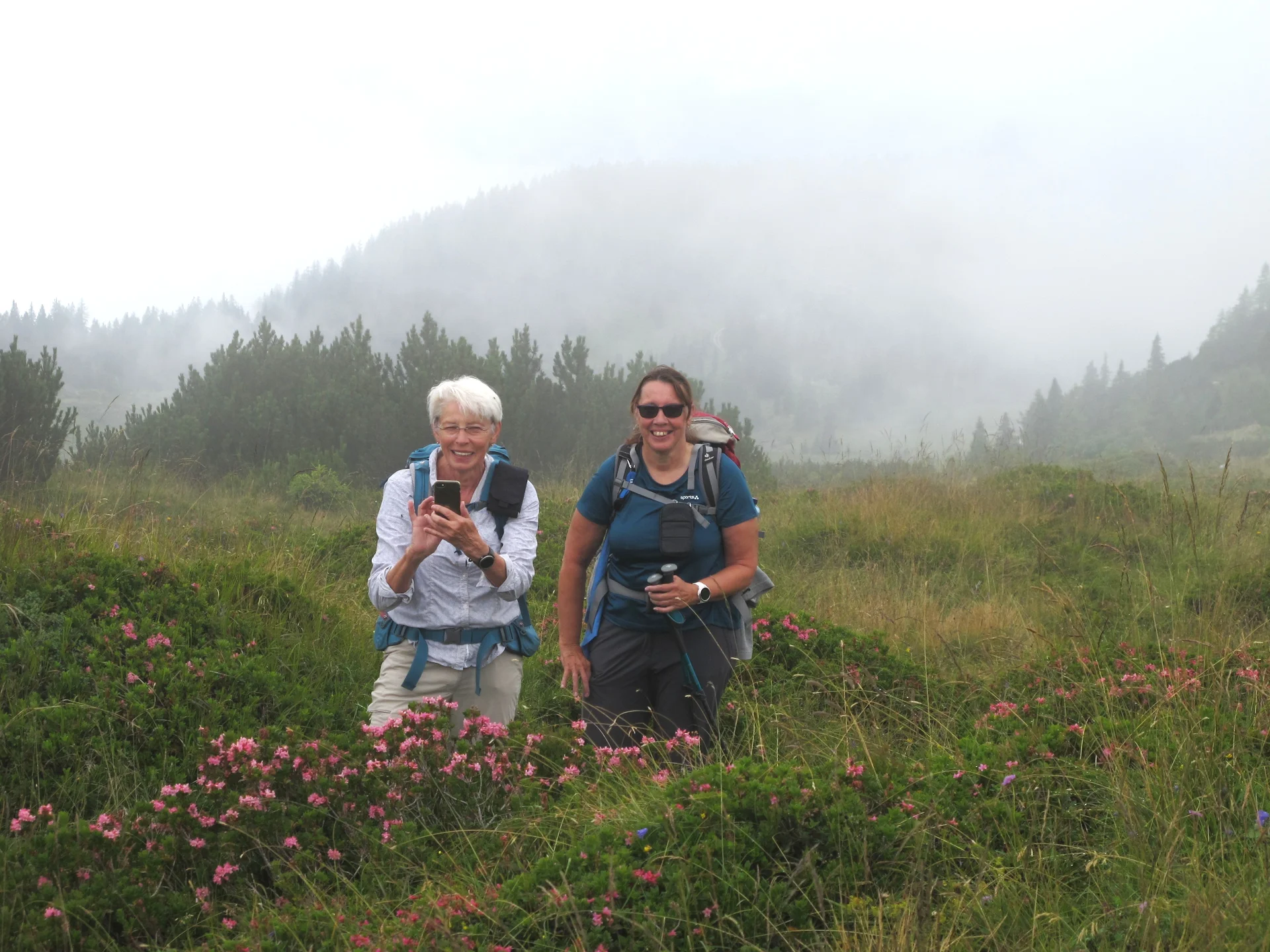Gemütliche DAV-Tour auf das Fellhorn im Chiemgau | © Hibler Toni