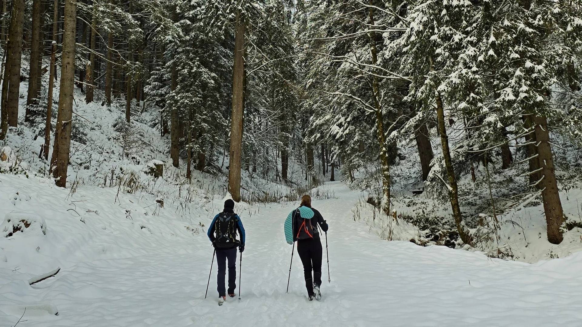 Winterwanderung auf den Hochfelln | © Berger Florian