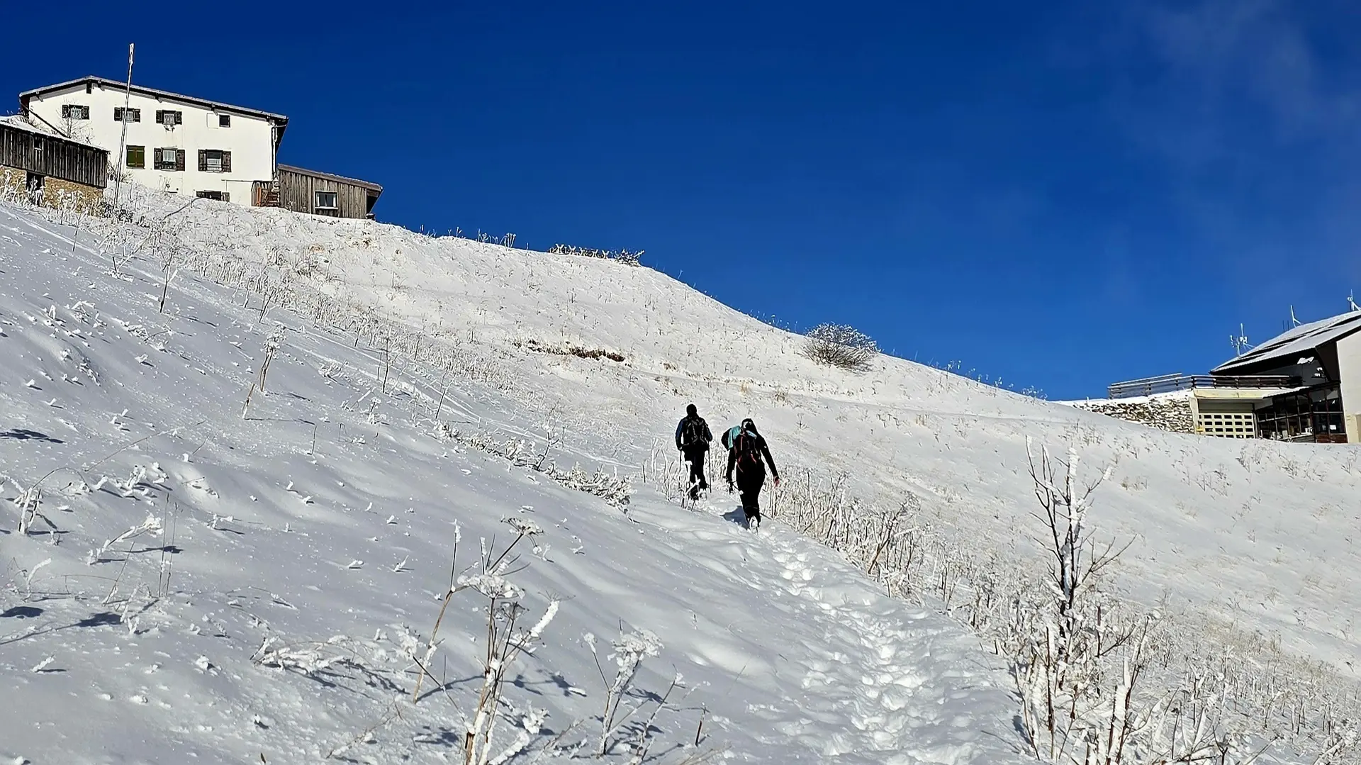 Winterwanderung auf den Hochfelln | © Berger Florian