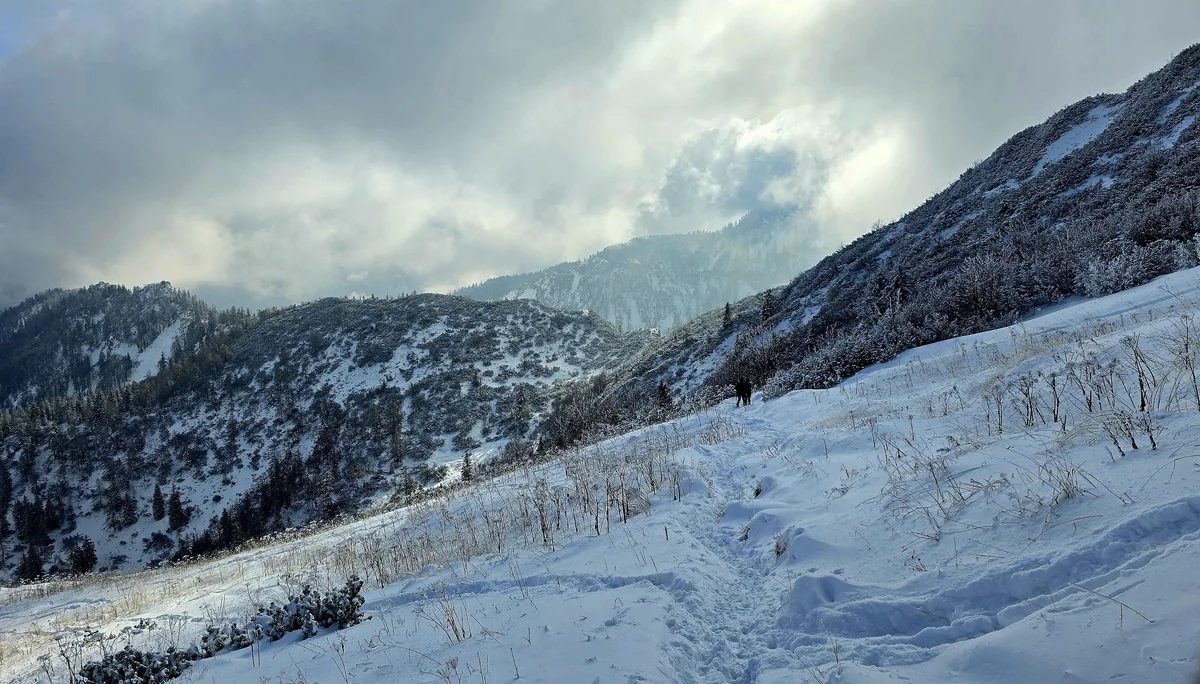 Winterwanderung auf den Hochfelln | © Berger Florian