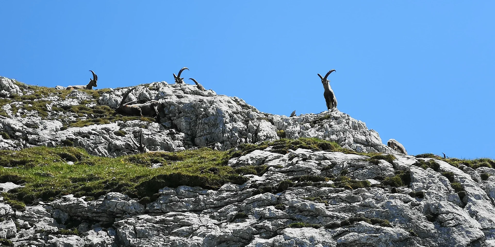 Kleine Reibn | © Witzelsperger Karin