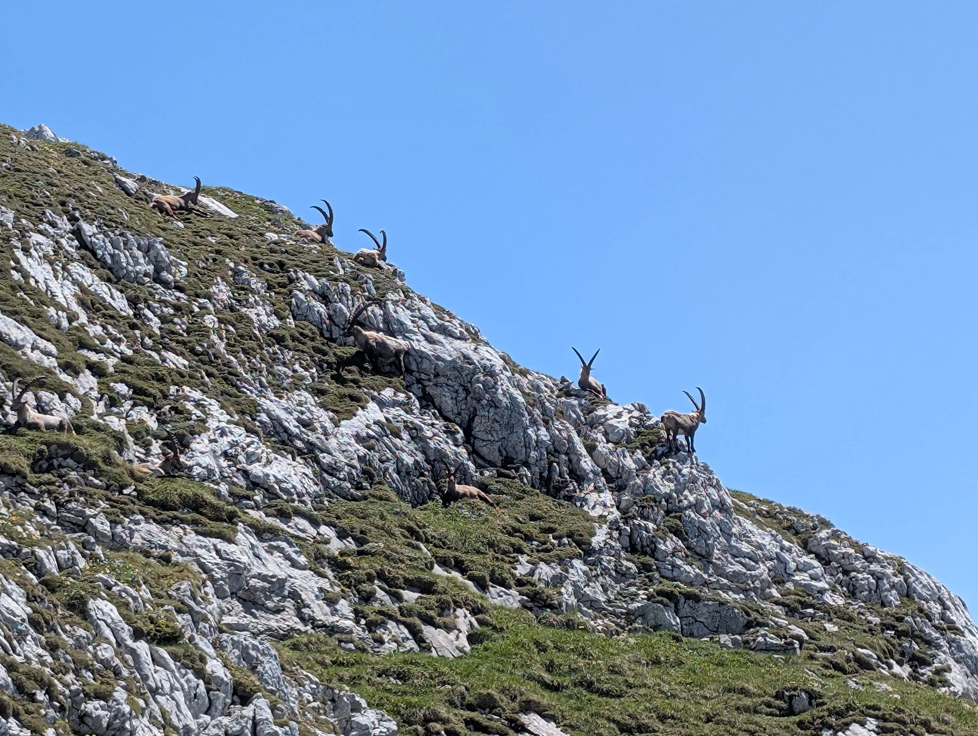 Kleine Reibn | © Witzelsperger Karin