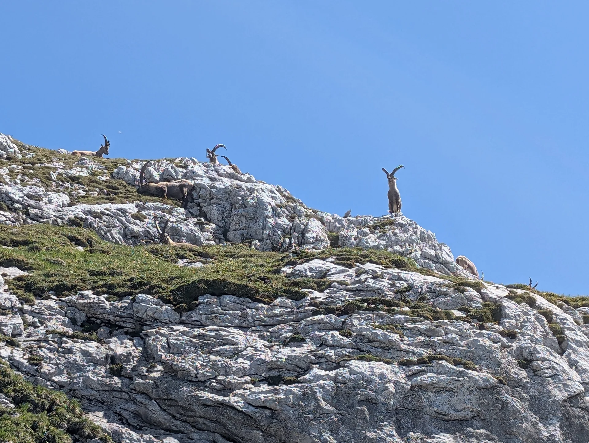 Kleine Reibn | © Witzelsperger Karin