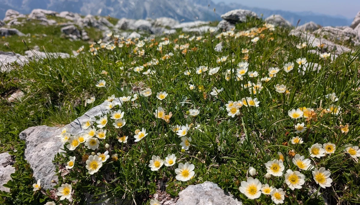 Kleine Reibn | © Witzelsperger Karin
