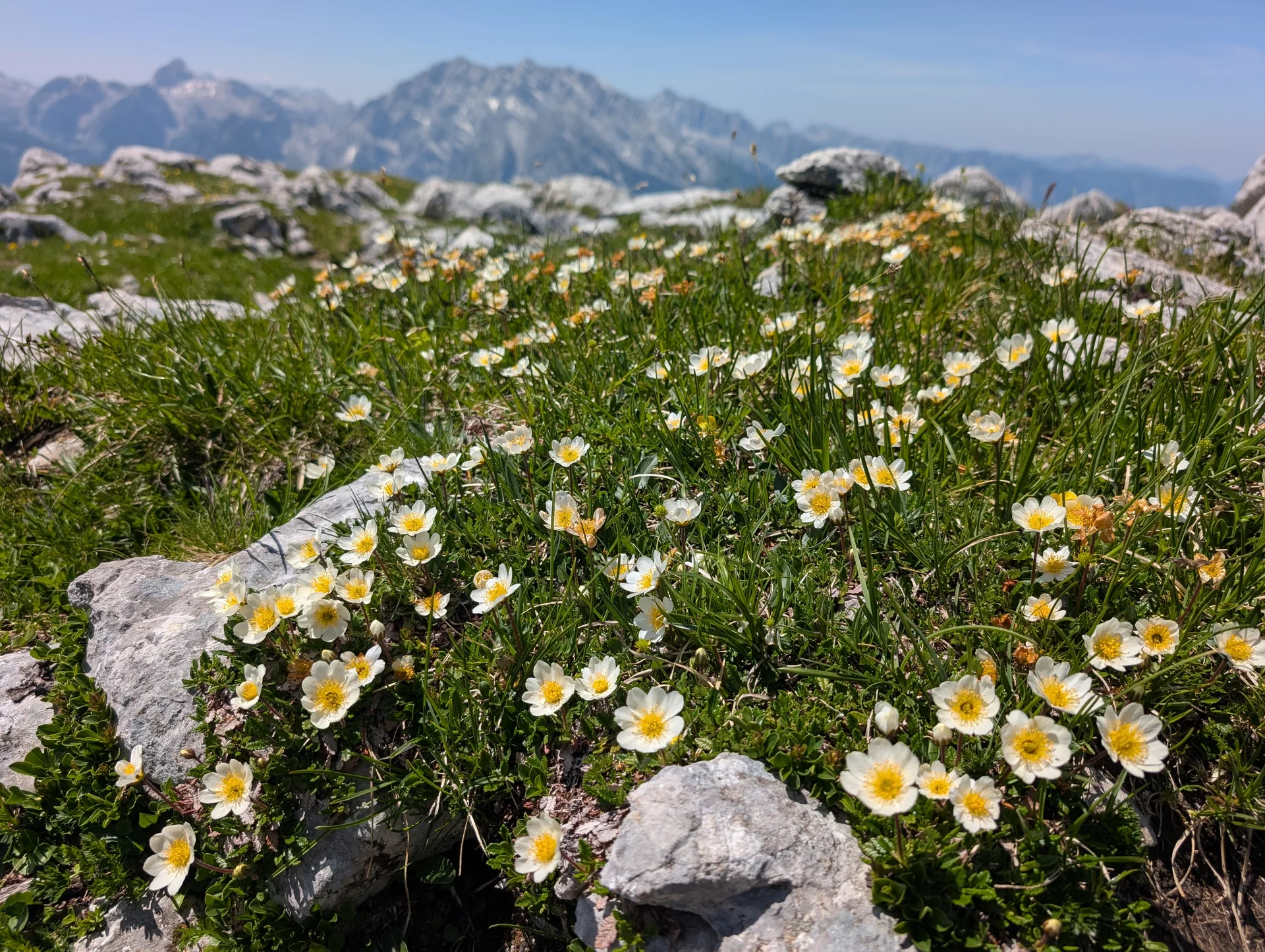 Kleine Reibn | © Witzelsperger Karin