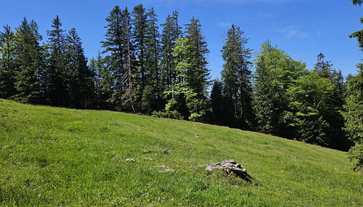 Bergabenteuer auf dem Rechenberg | © Hartinger Manfred