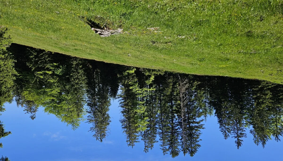 Bergabenteuer auf dem Rechenberg | © Hartinger Manfred
