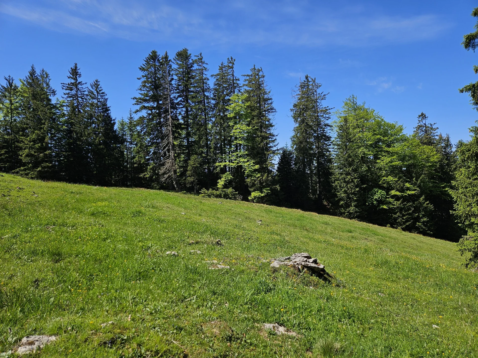 Bergabenteuer auf dem Rechenberg | © Hartinger Manfred
