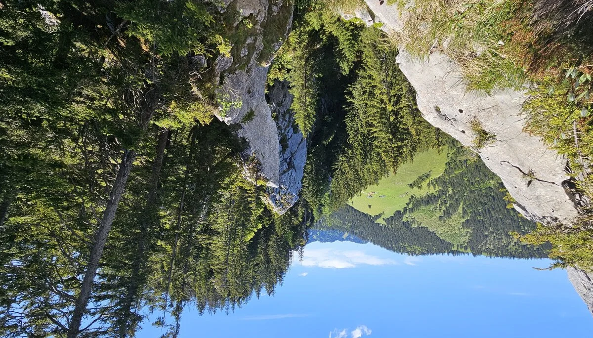 Bergabenteuer auf dem Rechenberg | © Hartinger Manfred