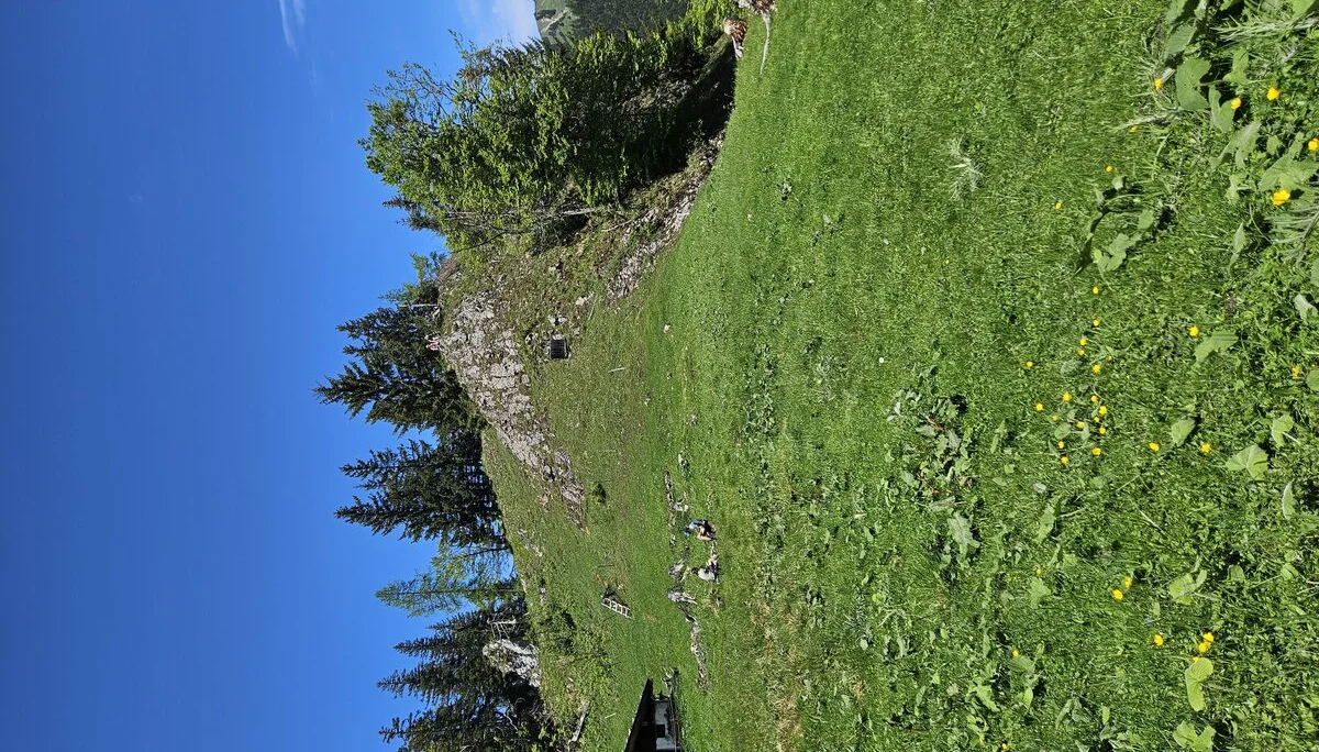 Bergabenteuer auf dem Rechenberg | © Hartinger Manfred