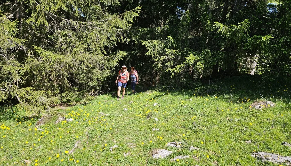 Bergabenteuer auf dem Rechenberg | © Hartinger Manfred