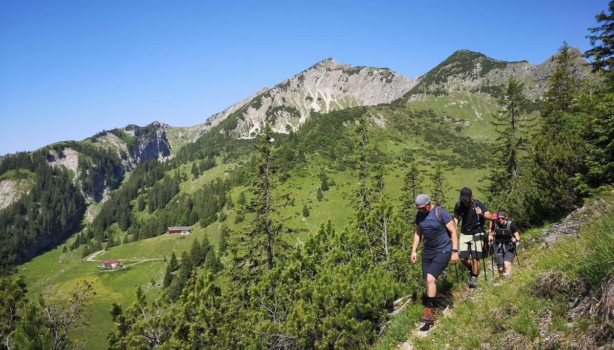Schönfeldjoch | © Witzelsperger Karin