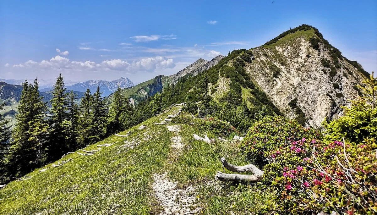 Schönfeldjoch | © Witzelsperger Karin