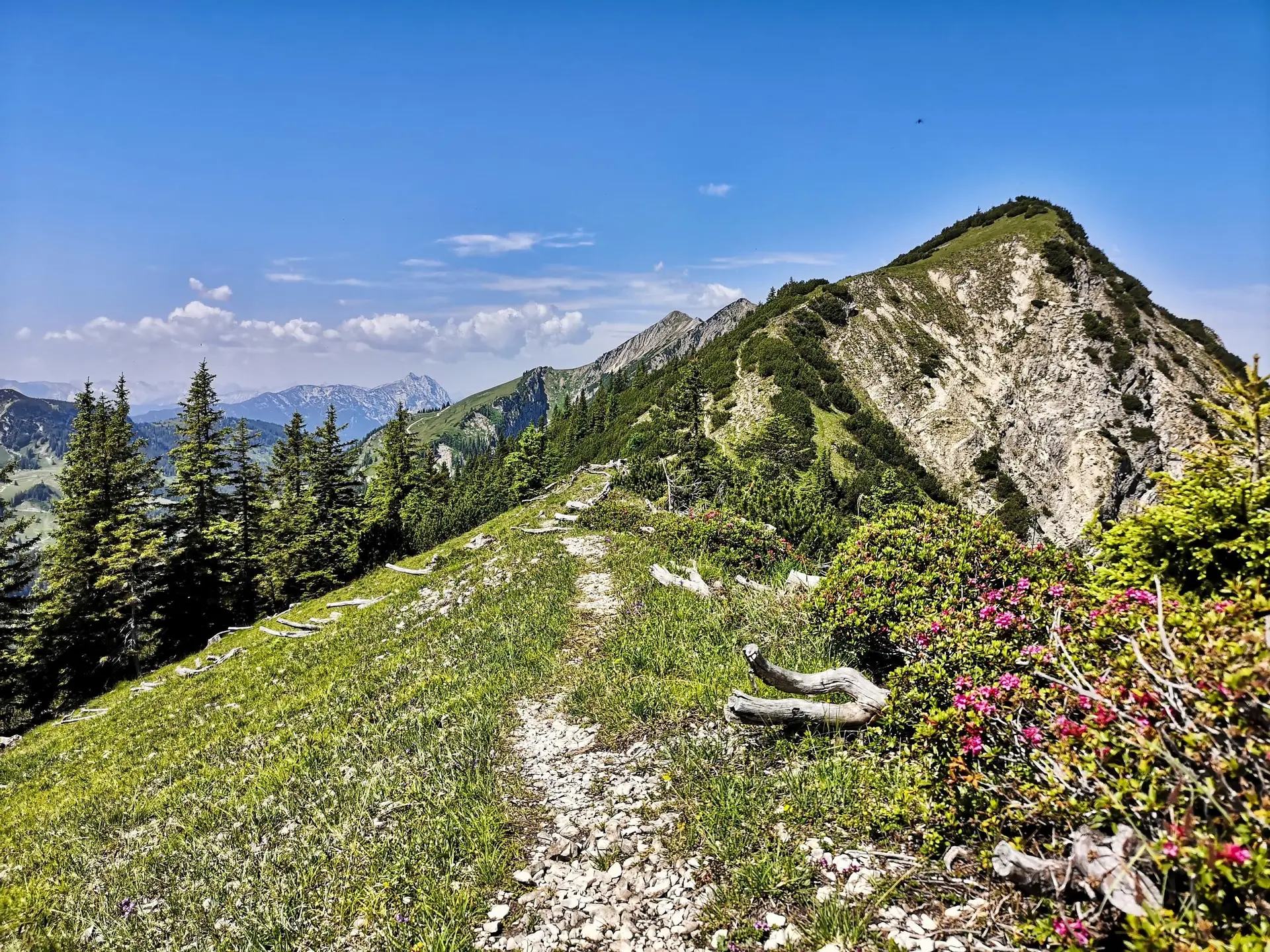 Schönfeldjoch | © Witzelsperger Karin