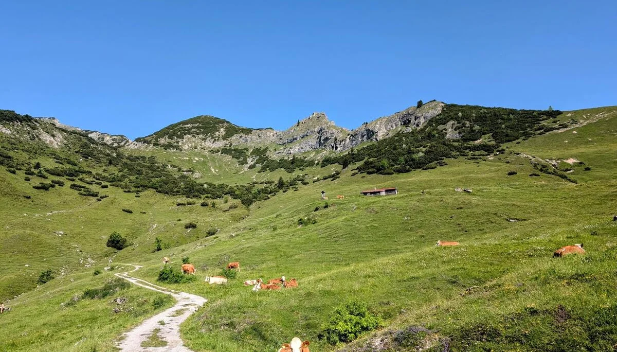 Schönfeldjoch | © Witzelsperger Karin