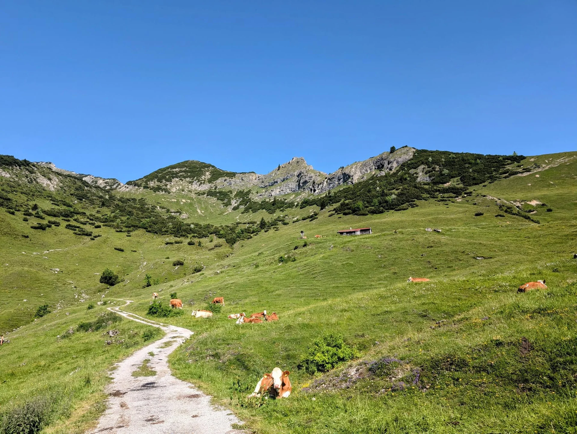 Schönfeldjoch | © Witzelsperger Karin