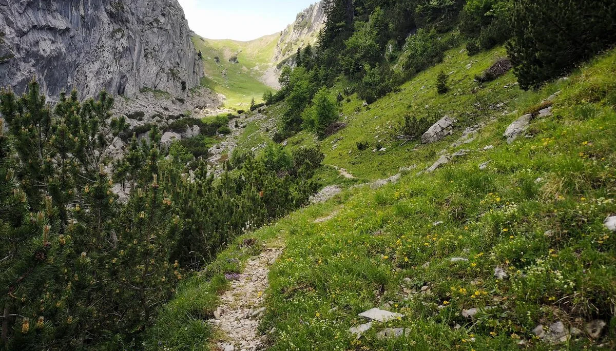 Schönfeldjoch | © Witzelsperger Karin