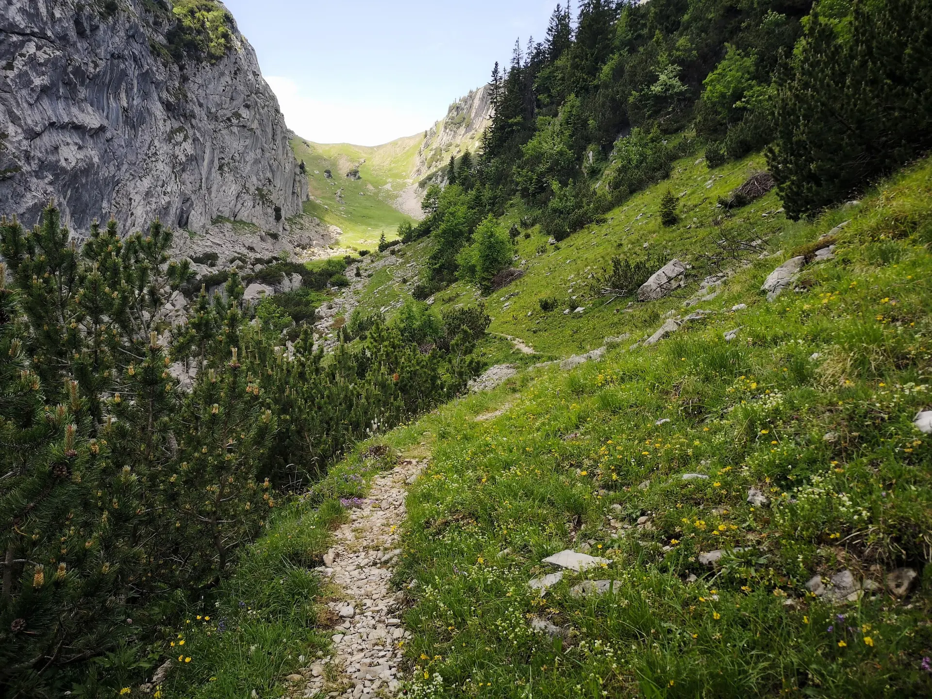 Schönfeldjoch | © Witzelsperger Karin