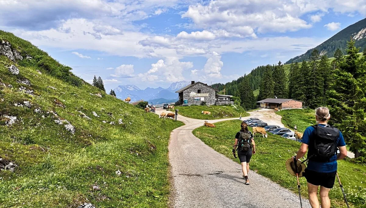 Schönfeldjoch | © Witzelsperger Karin