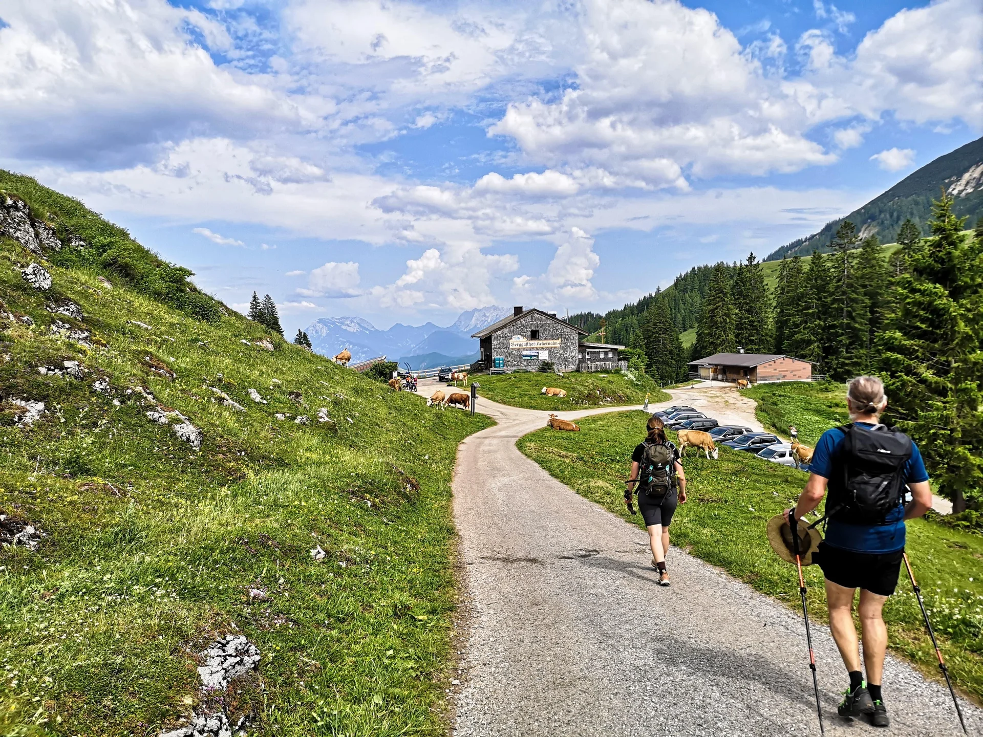 Schönfeldjoch | © Witzelsperger Karin