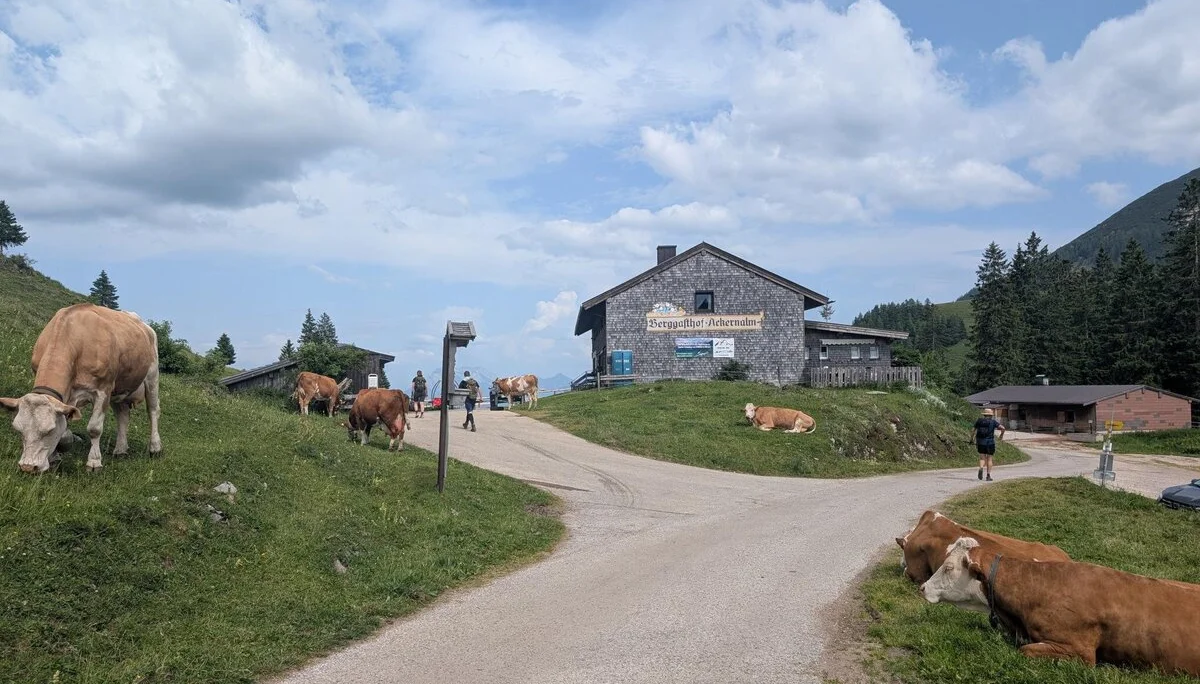 Schönfeldjoch | © Witzelsperger Karin