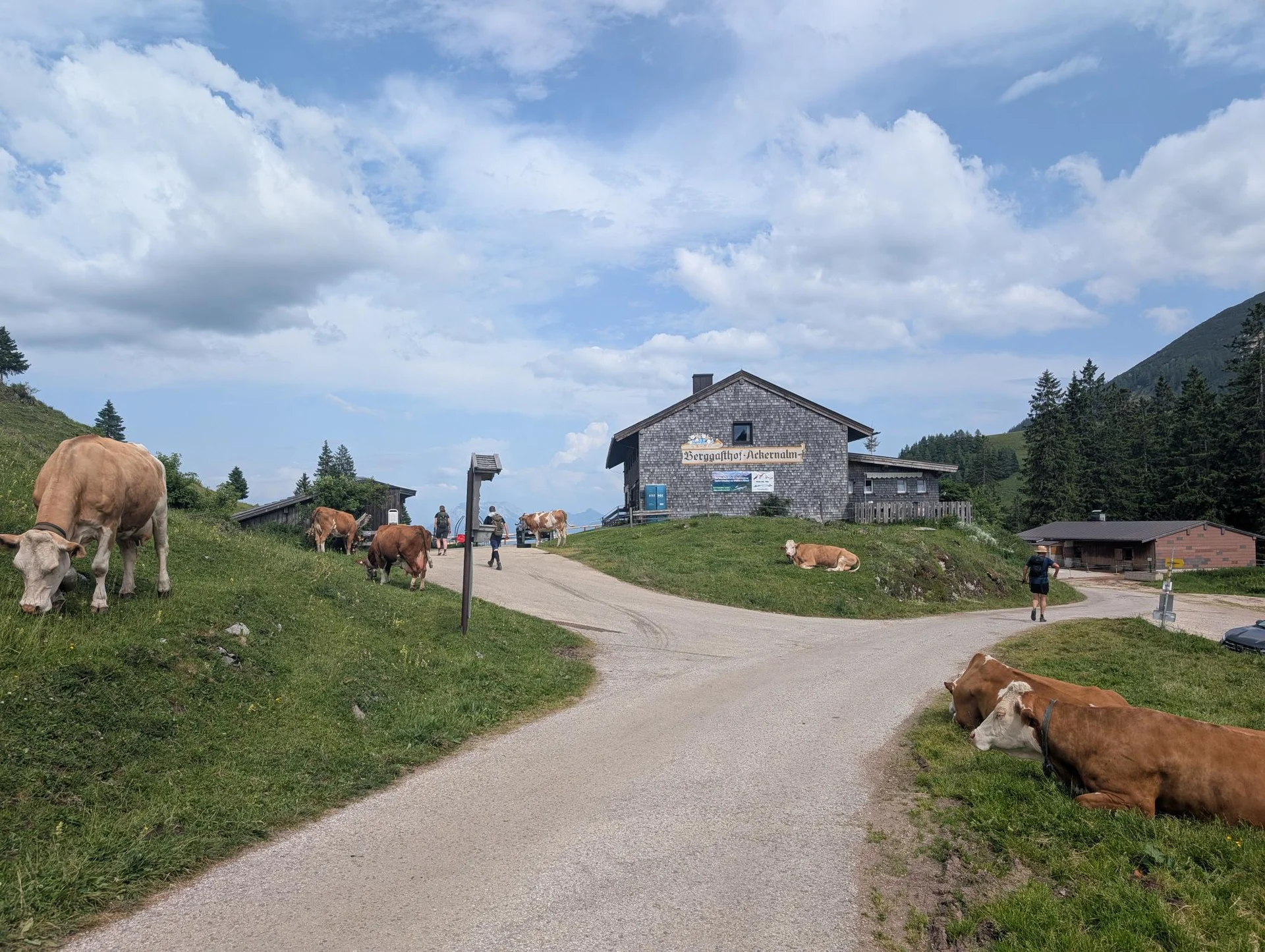 Schönfeldjoch | © Witzelsperger Karin