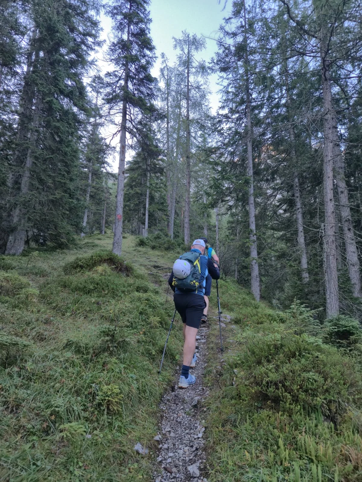 Über den Nordgrat auf den Hochwannig | © Hartinger Manfred