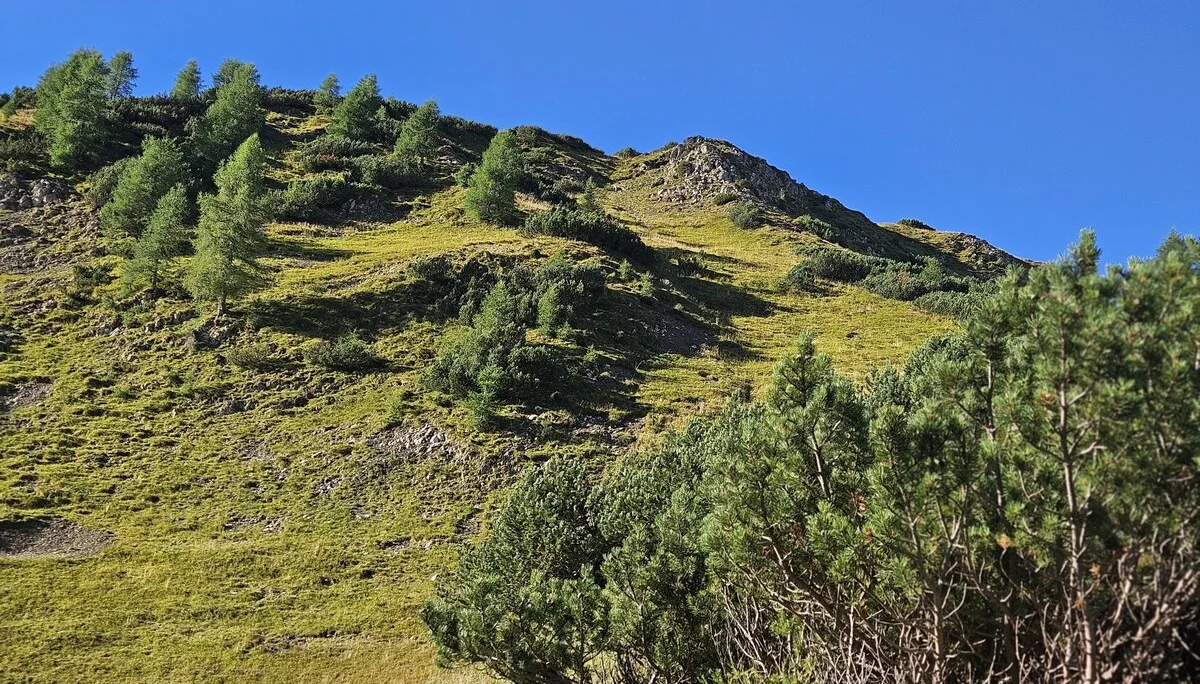 Über den Nordgrat auf den Hochwannig | © Hartinger Manfred