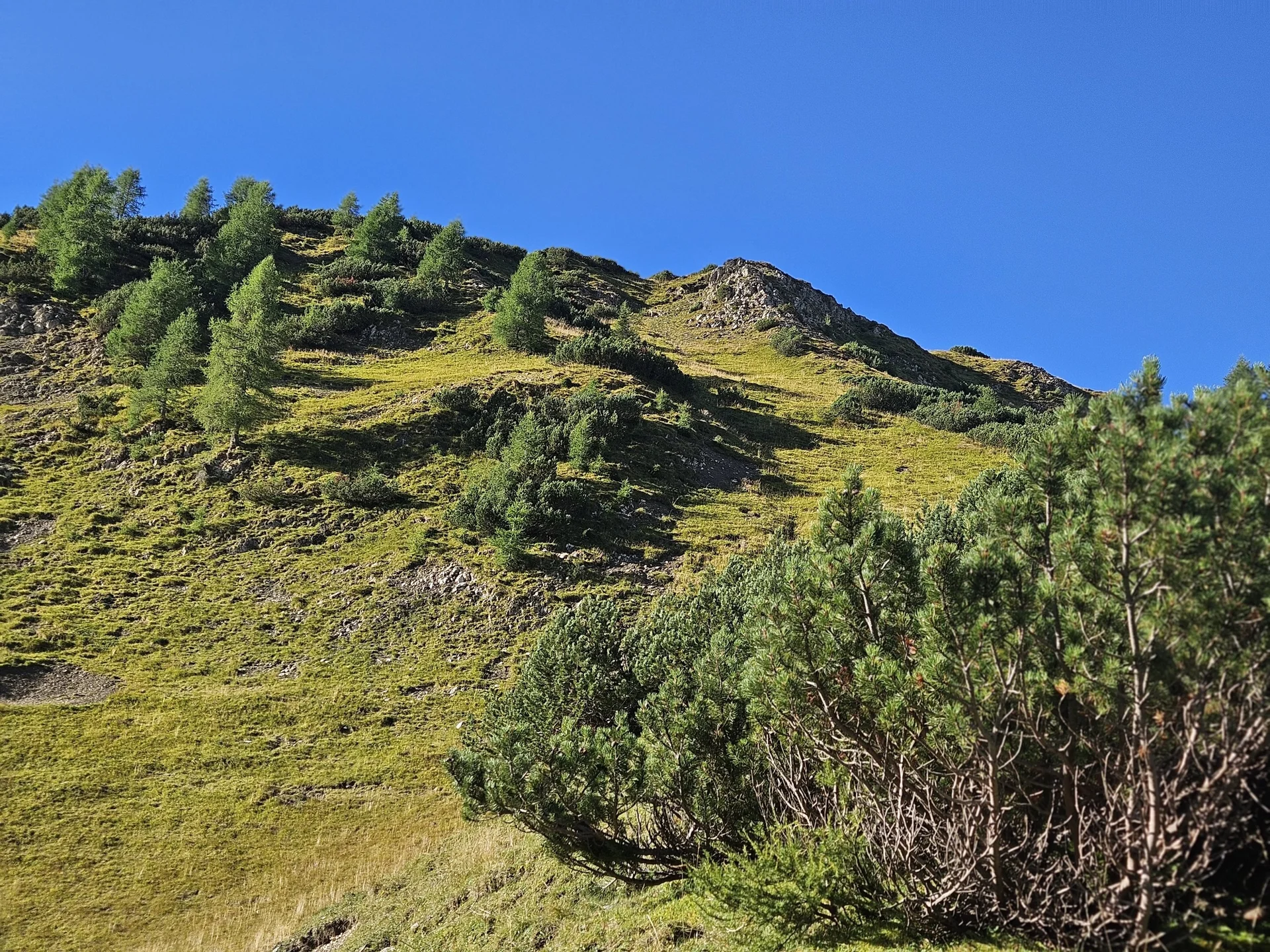 Über den Nordgrat auf den Hochwannig | © Hartinger Manfred