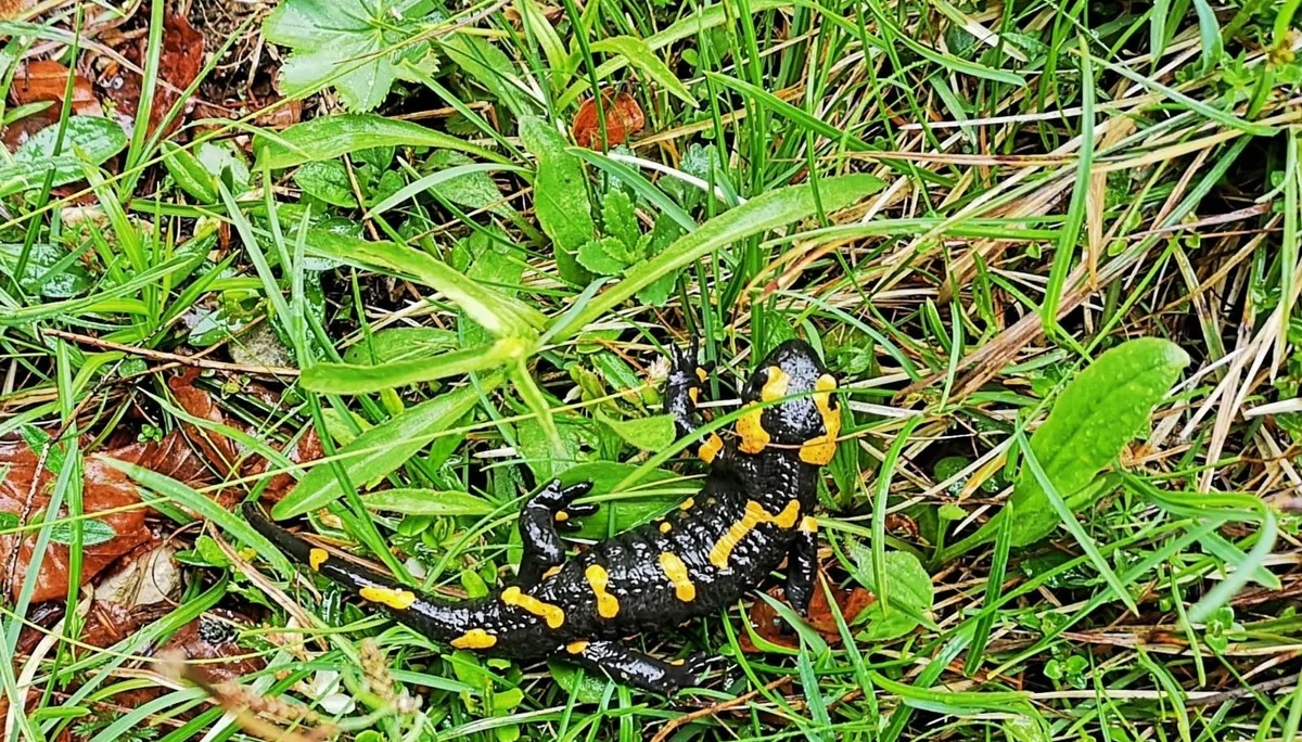 Zinnenberg | © Schneider Susanne