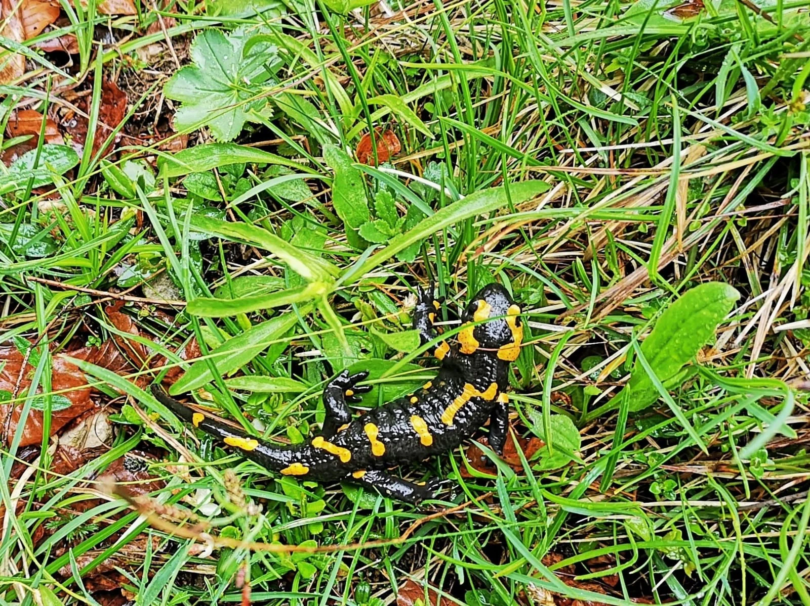 Zinnenberg | © Schneider Susanne