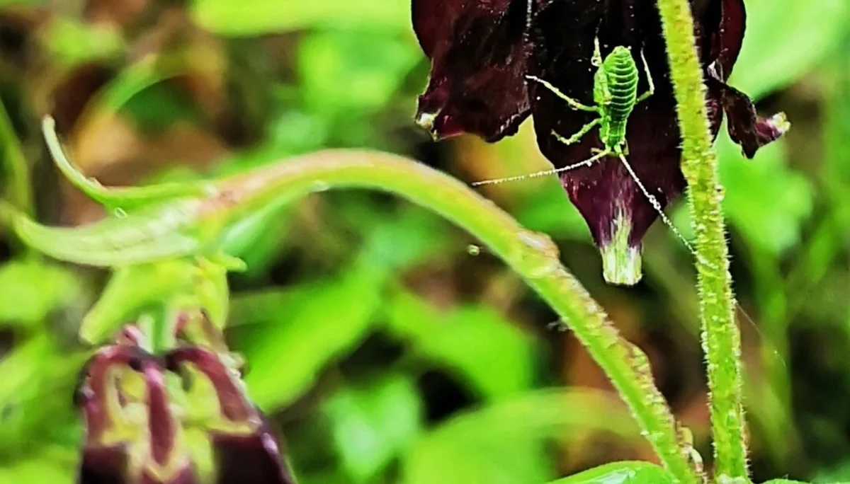 Zinnenberg | © Schneider Susanne