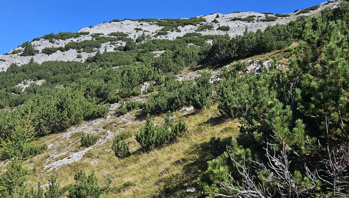 Gipfelglück im Karwendel: DAV Dingolfing bezwingt den Hohen Gleirsch | © Hartinger Manfred