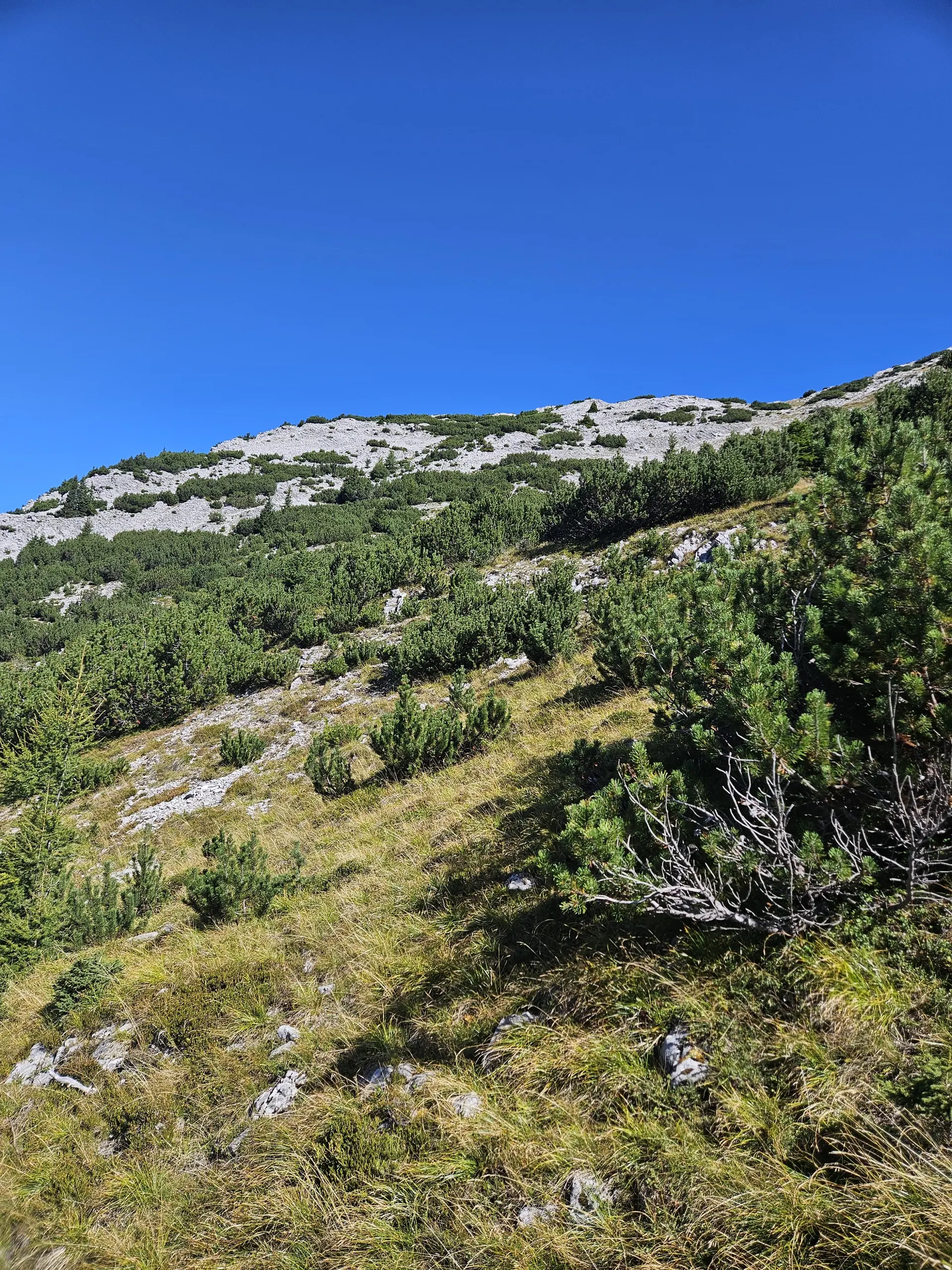 Gipfelglück im Karwendel: DAV Dingolfing bezwingt den Hohen Gleirsch | © Hartinger Manfred