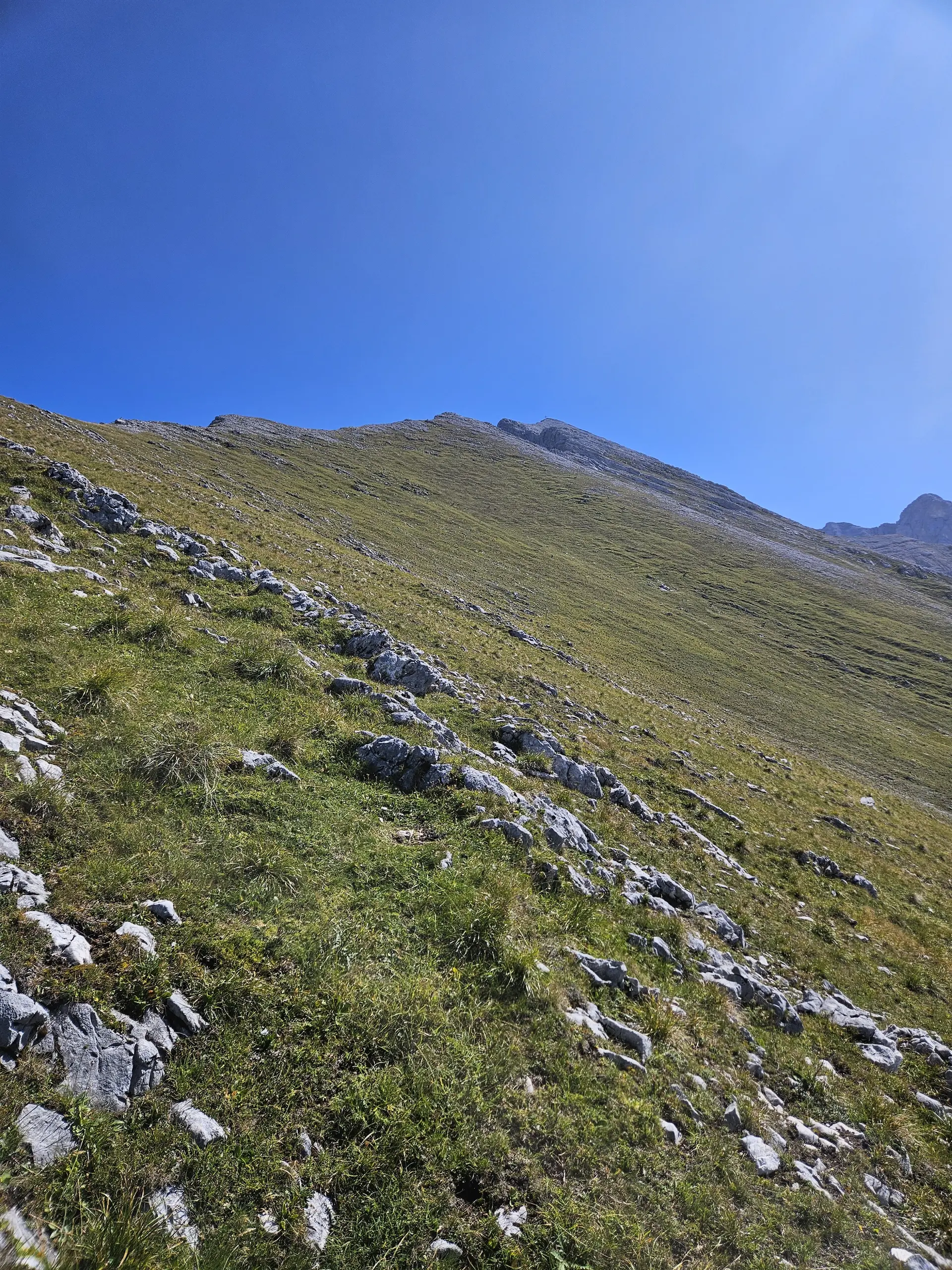 Gipfelglück im Karwendel: DAV Dingolfing bezwingt den Hohen Gleirsch | © Hartinger Manfred