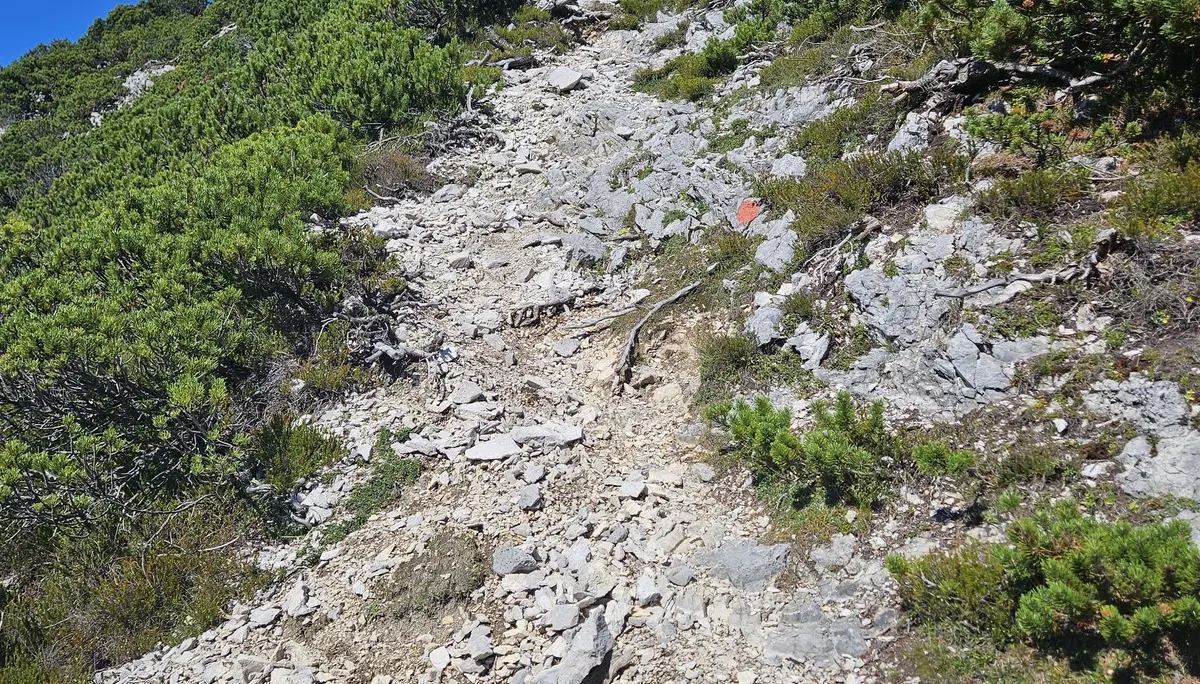 Gipfelglück im Karwendel: DAV Dingolfing bezwingt den Hohen Gleirsch | © Hartinger Manfred