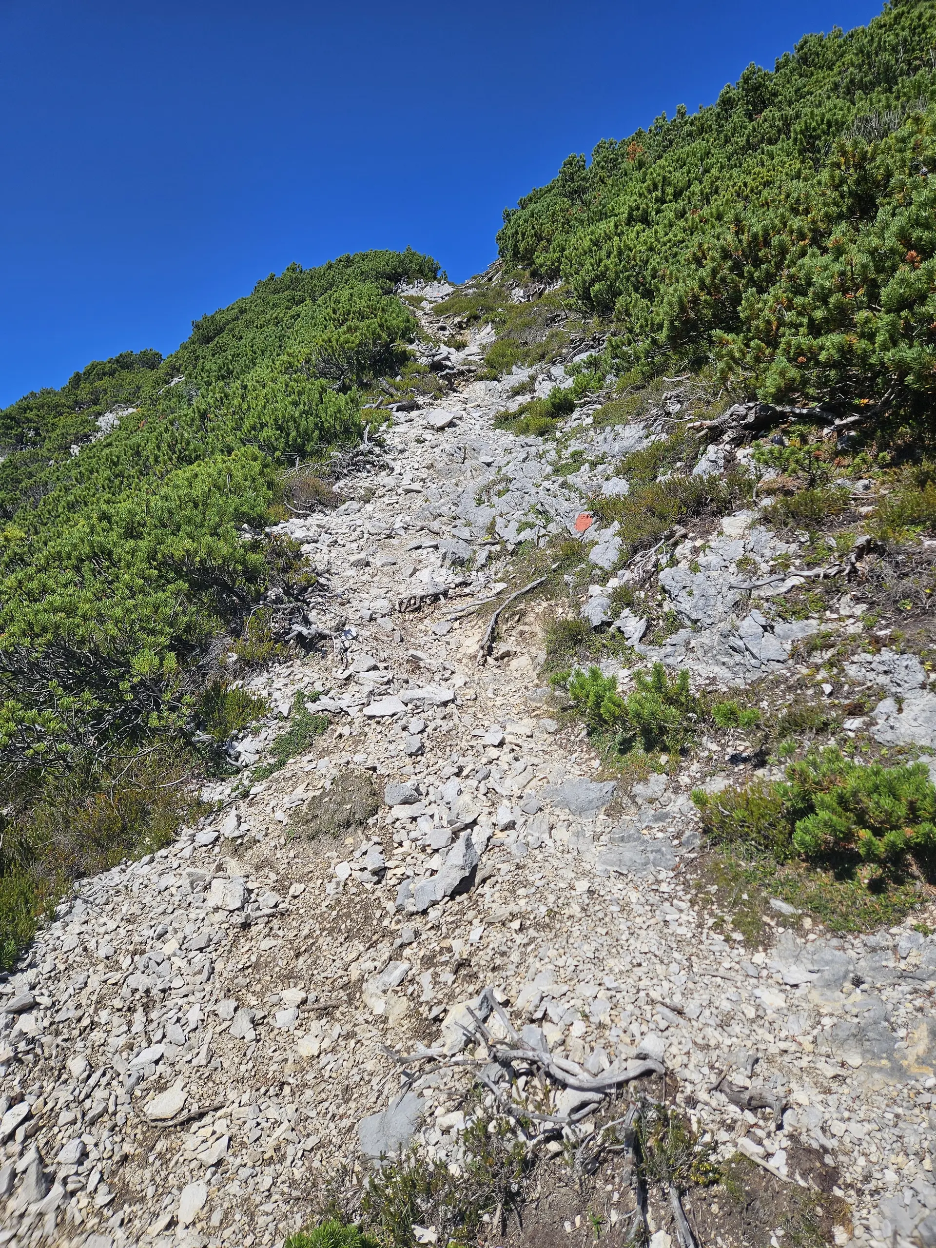 Gipfelglück im Karwendel: DAV Dingolfing bezwingt den Hohen Gleirsch | © Hartinger Manfred