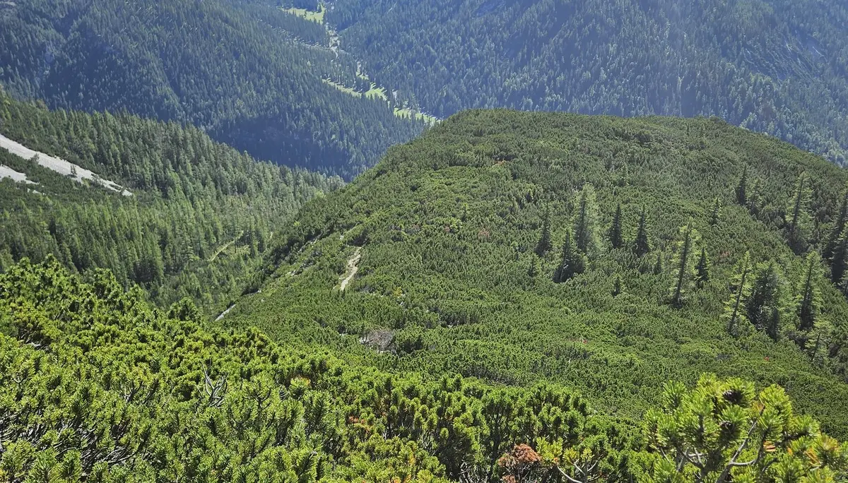 Gipfelglück im Karwendel: DAV Dingolfing bezwingt den Hohen Gleirsch | © Hartinger Manfred