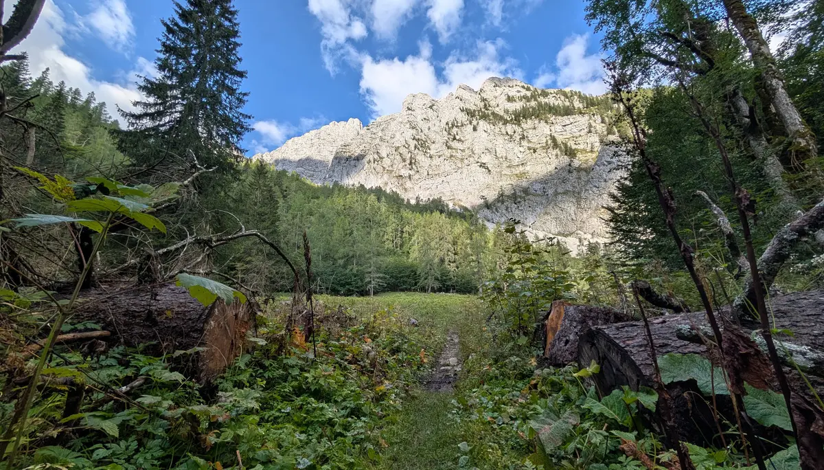 Bergtour des DAV auf die Schärtenspitze | © Berger Florian